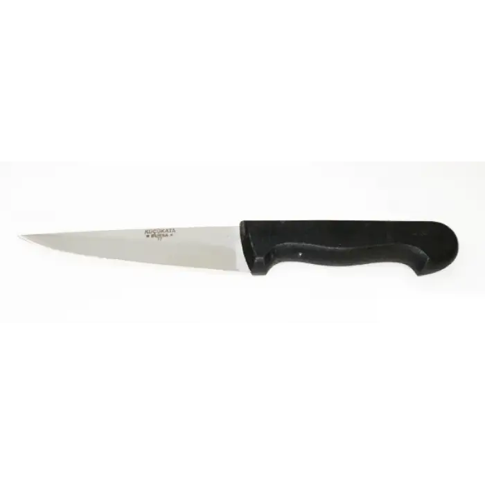 Bursa Kalın Sivri Kasap Bıçağı No:2, 15,5 Cm - Plastik Sap