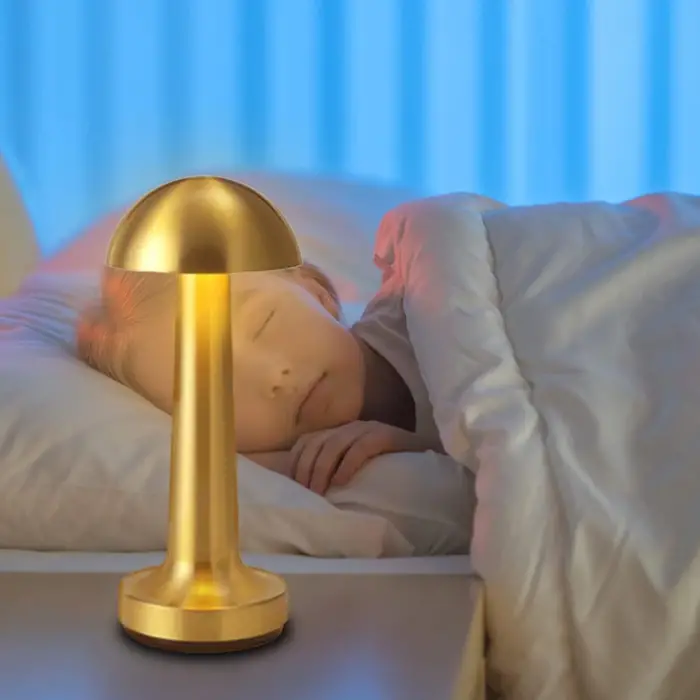 Dekoratif Led Masa Lambası Mz-327