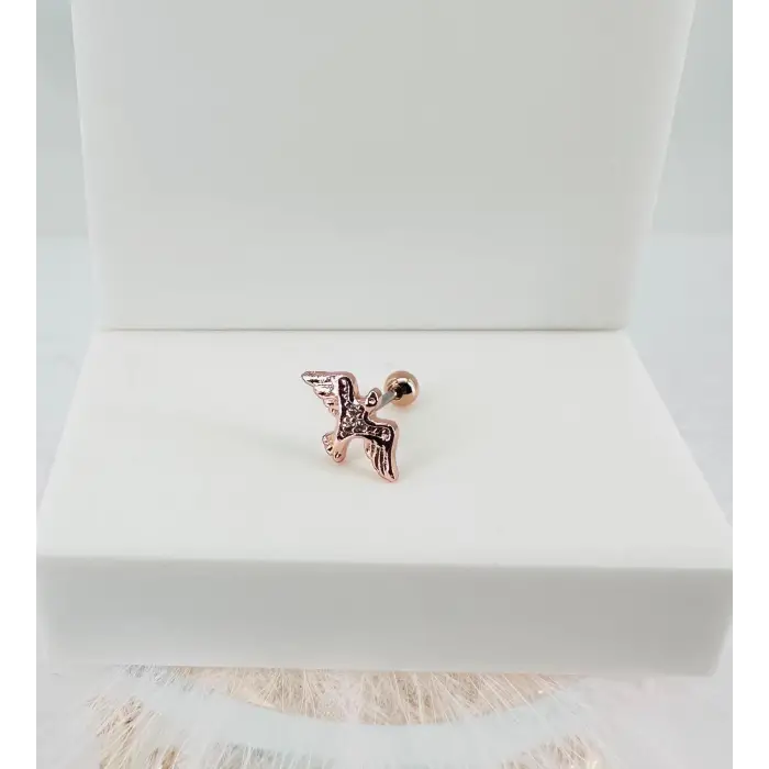 Tragus Kıkırdak Küpesi