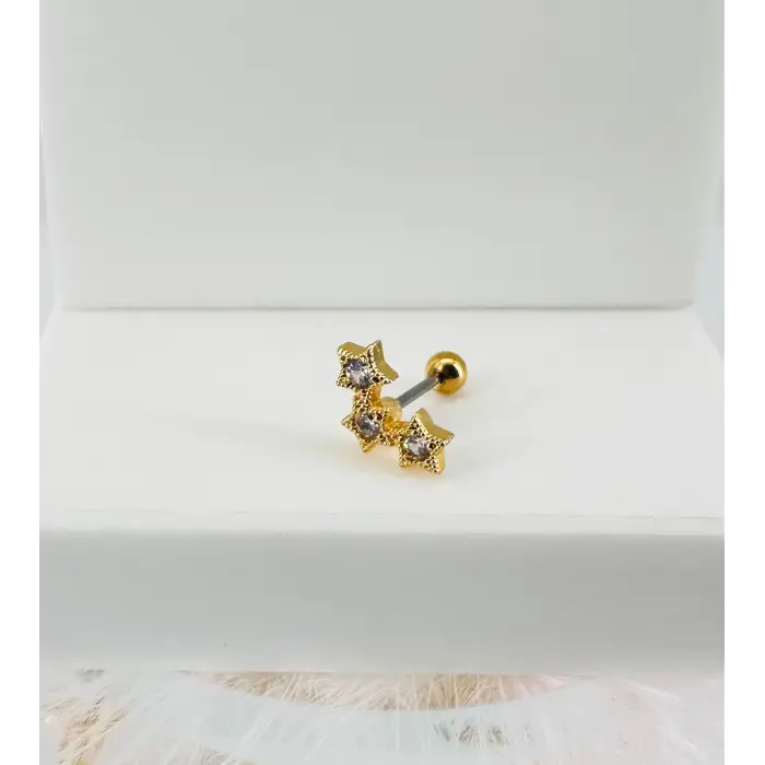 Tragus Kıkırdak Küpesi