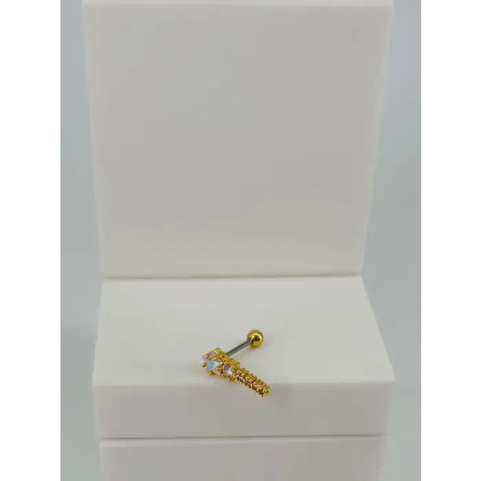Tragus Kıkırdak Küpesi