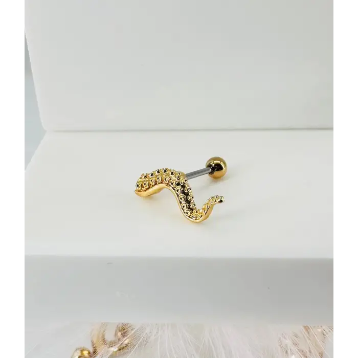 Tragus Kıkırdak Küpesi