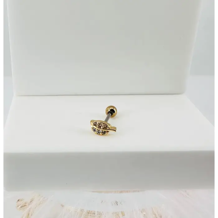 Tragus Kıkırdak Küpesi