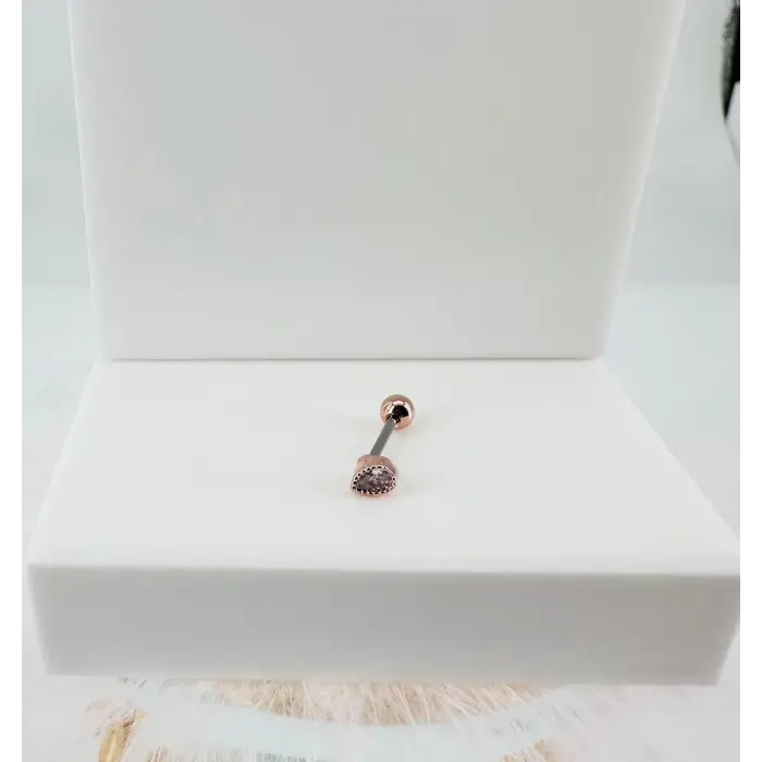 Tragus Kıkırdak Küpesi