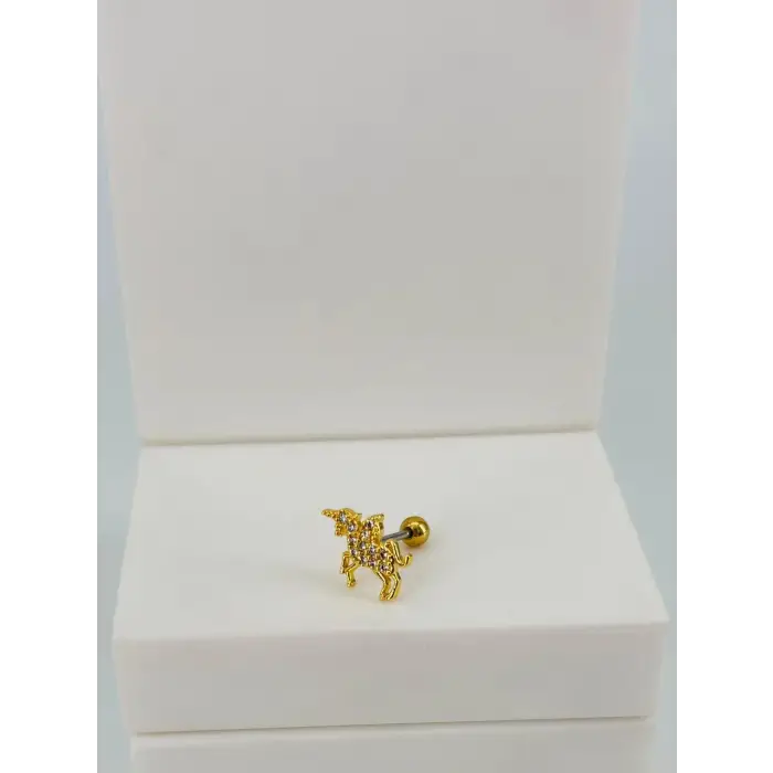 Tragus Kıkırdak Küpesi