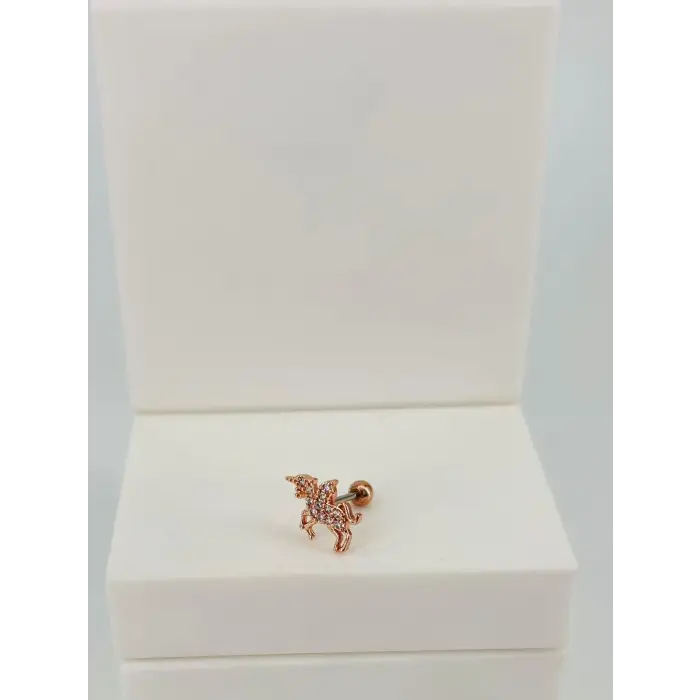 Tragus Kıkırdak Küpesi