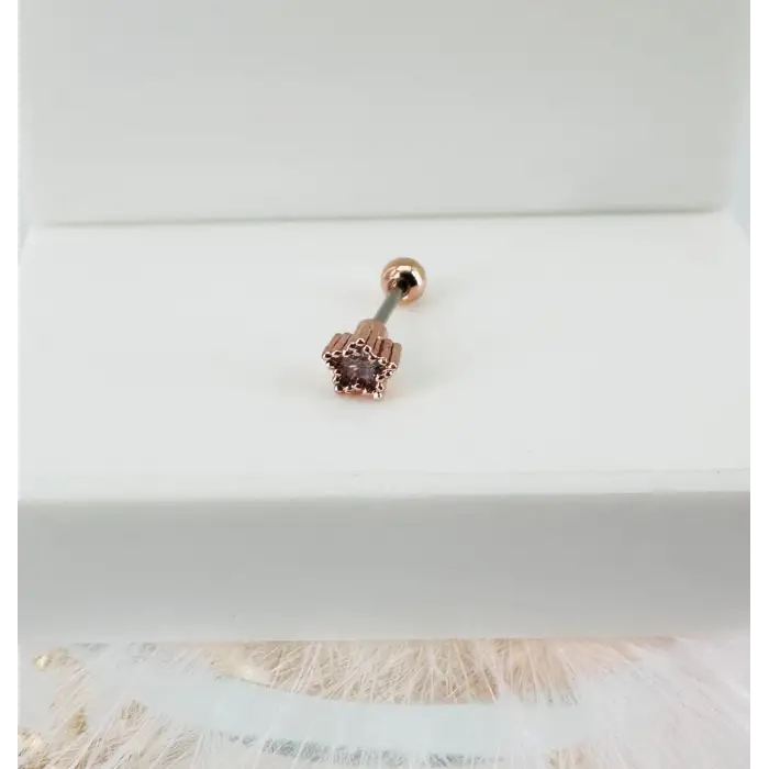 Tragus Kıkırdak Küpesi