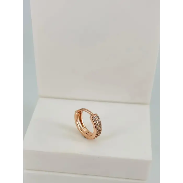 Tragus Kıkırdak Küpesi