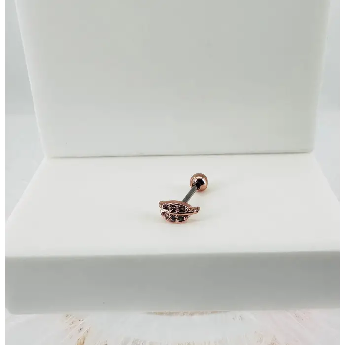 Tragus Kıkırdak Küpesi