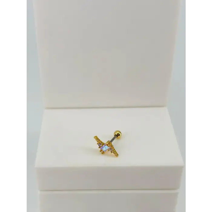 Tragus Kıkırdak Küpesi