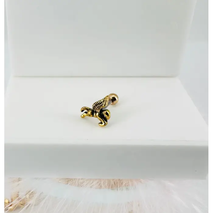 Tragus Kıkırdak Küpesi