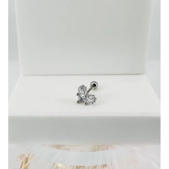Tragus Kıkırdak Küpesi
