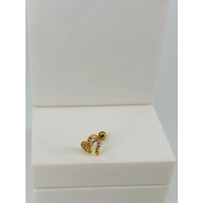 Tragus Kıkırdak Küpesi
