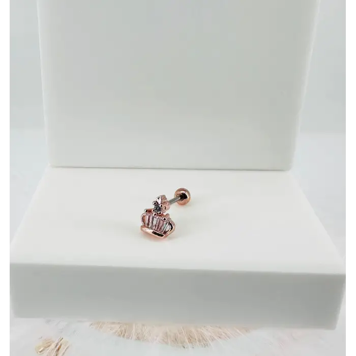 Tragus Kıkırdak Küpesi