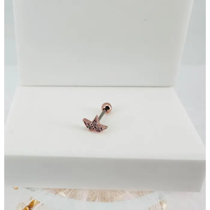 Tragus Kıkırdak Küpesi