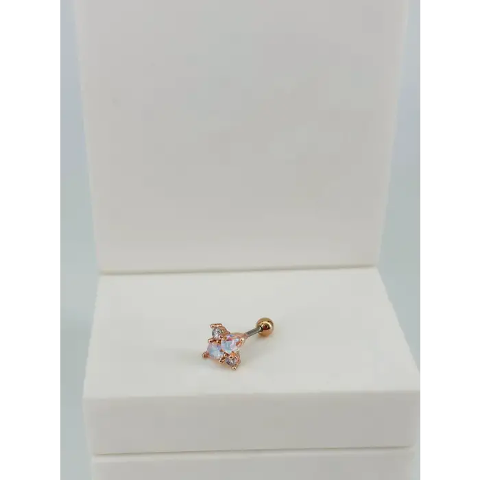 Tragus Kıkırdak Küpesi