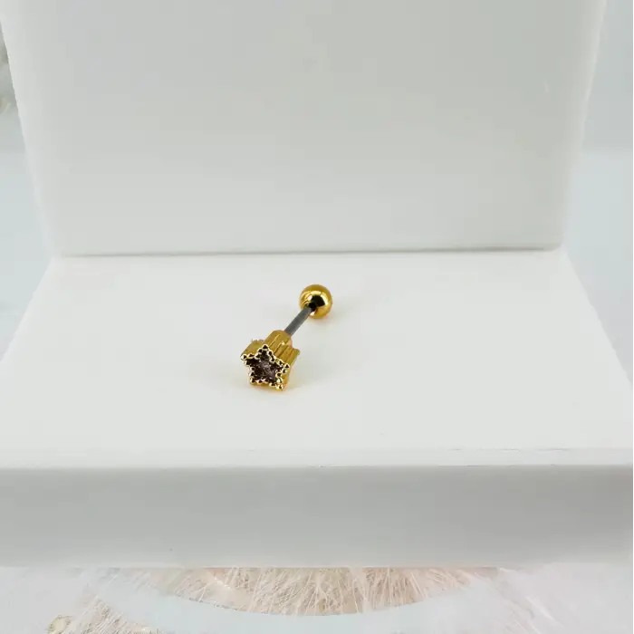 Tragus Kıkırdak Küpesi