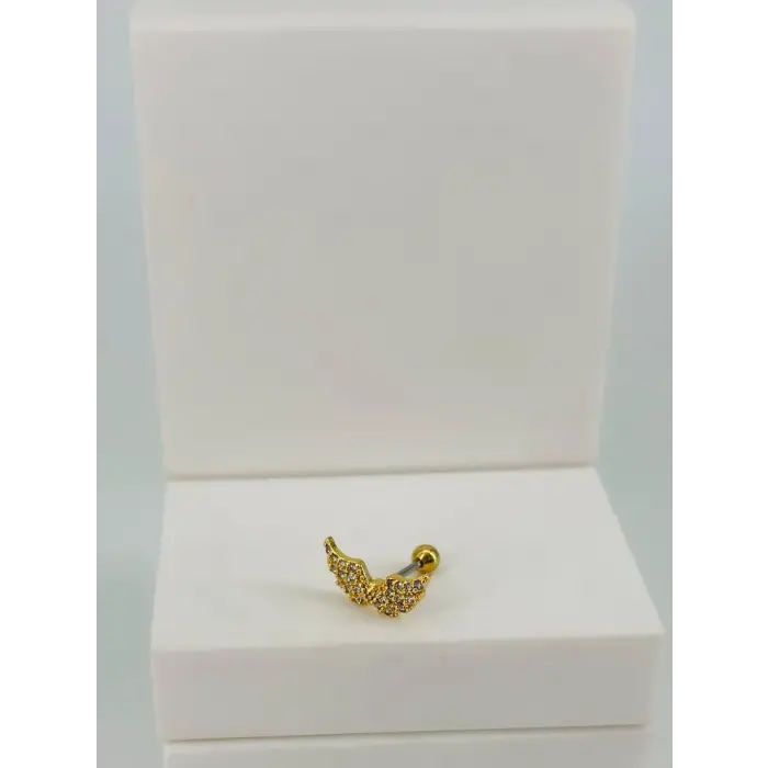 Tragus Kıkırdak Küpesi