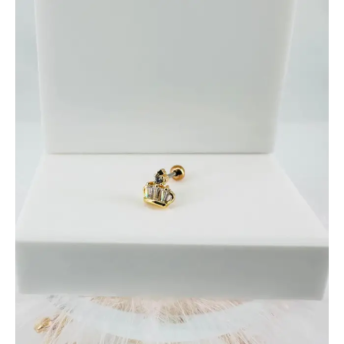 Tragus Kıkırdak Küpesi