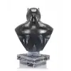 Darth Vader Büst 131