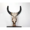 Duvara Asmalı Bufalo Kafası 4galıleo-6