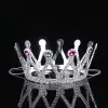 Gümüş Renk Çocuk Ve Yetişkin Uyumlu Kraliçe Tacı Prenses Tacı 8x25 Cm