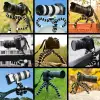 Kamera Cep Telefonu Için Tripod Küçük Ahtapot Tripod