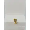 Tragus Kıkırdak Küpesi