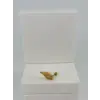 Tragus Kıkırdak Küpesi