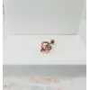Tragus Kıkırdak Küpesi