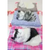 Yastıkta Uyuyan Kedi Sesli Alk24
