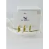 Zirkon Taşlı Üçlü Kombin