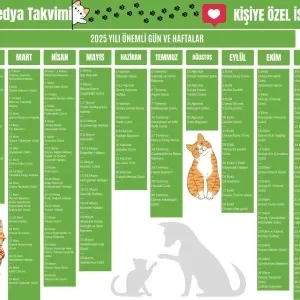 2025 Kişiye Özel Sosyal Medya Takvimi - Özel Günlerle Dolu Eğlenceli Duvar Afişi Kedi