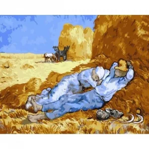 Kanvas Sayılarla Boyama Seti Kasnaklı-çerçeveli Öğle Uykusu