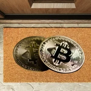 Kapı Önü Paspası Özel Tasarım Koko Model Bitcoin Pk-1522