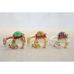 Swaroski Minik Deve Alk3865