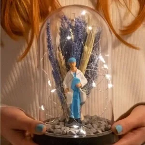 Teraryum Fanus Erkek Doktor İş Hediyesi Işıklı