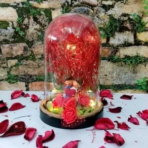 Teraryum Fanus Evlilik Yıldönümü,doğum Günü Hedyesi Sevgili Temalı Işıklı