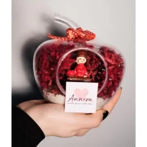 Teraryum Mini Elma Annem Seni Çok Seviyorum Yazılı Hediye