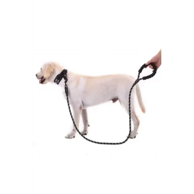 Köpekler İçin Gezdirme Tasması Reflektörlü 130 Cm Halat Orta Ve Büyük Boy Köpekler İçin Siyah