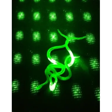 Şaka Yılan Ve Kırkayak Karışık 36 Adet