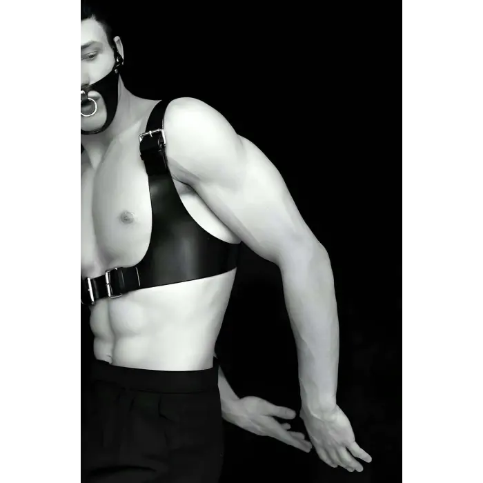 LYYN Seksi Deri Göğüs Ve Maske Harness - Brfm112