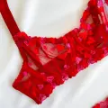 Kadın  Kalpli Kırmızı Dantelli Balenli  Sütyen Külot Takım
