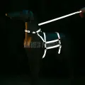 LYYN Reflektörlü - Ayarlanabilir Köpek Harness - Köpek Gezdirme Aparatı - Npd007