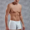 Doreanse Elegant Erkek Boxer 1770
