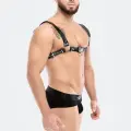 Erkek  Harness