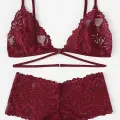 Kadın Bordo Özel Şık Sütyen Külot Takımı