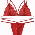 Kadın Kırmızı Dantel Sütyen Külot Takımı