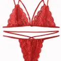 Kadın Kırmızı Dantel Sütyen Külot Takımı