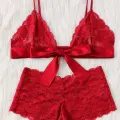Kadın Kırmızı Dantelli & Kurdelalı Sütyen Külot Takımı